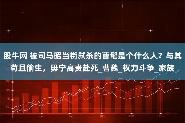 股牛网 被司马昭当街弑杀的曹髦是个什么人？与其苟且偷生，毋宁高贵赴死_曹魏_权力斗争_家族