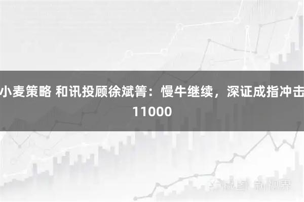 小麦策略 和讯投顾徐斌箐:慢牛继续,深证成指冲击11000